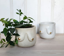 Load image into Gallery viewer, Golden Boob Pot
