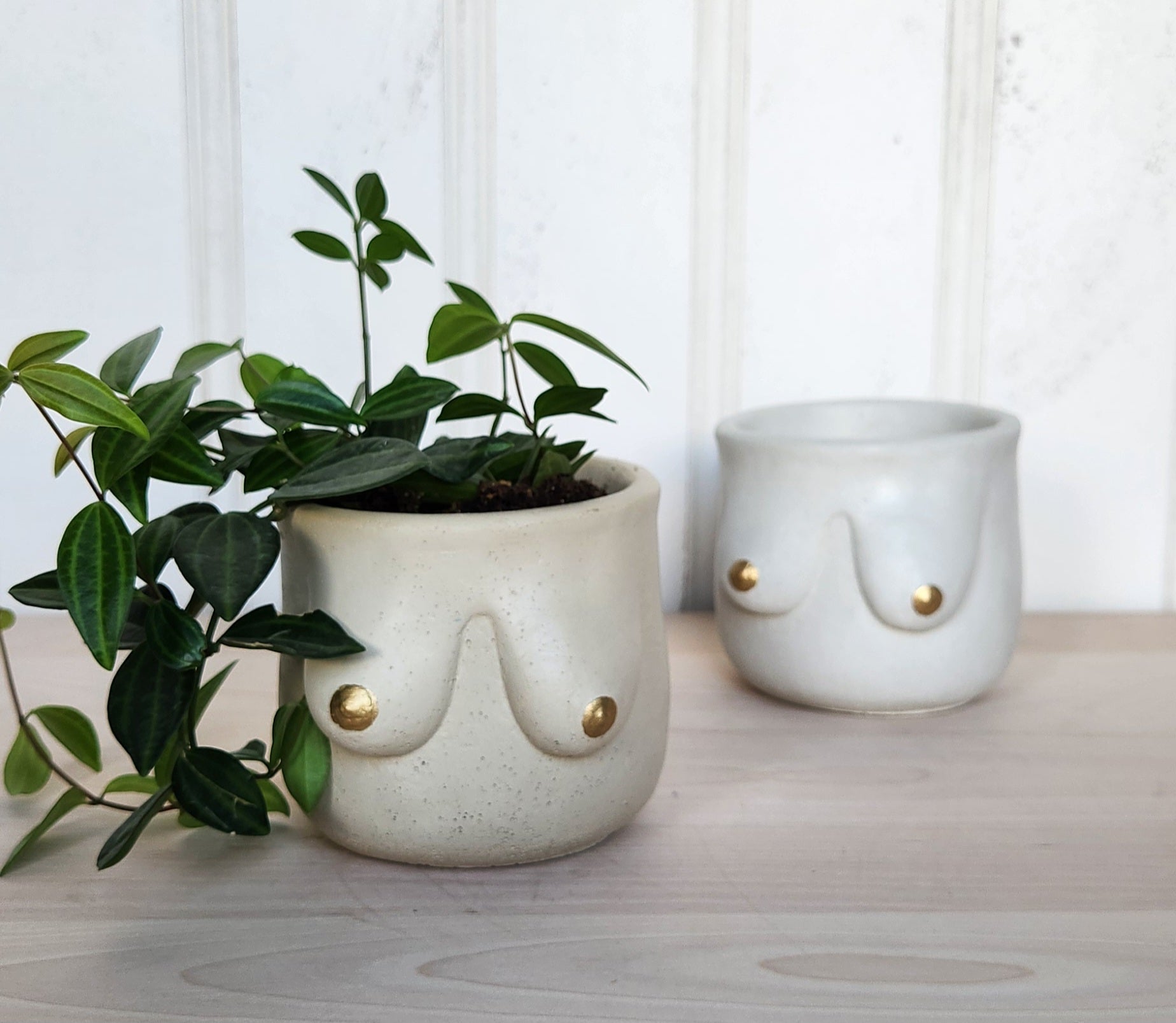 breast planter Golden Boob Pot – Plant 'er Here
