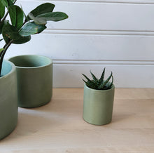 Load image into Gallery viewer, Cylinder Planter- 3" 5" 7" Blush &amp; Olive

