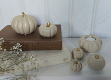 Load image into Gallery viewer, Pumpkin Decor- Cream
