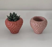 Load image into Gallery viewer, Strawberry Planter
