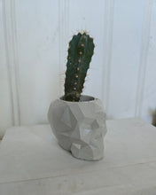 Load image into Gallery viewer, Geometric Skulls

