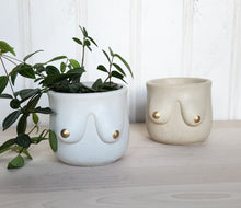 Load image into Gallery viewer, Golden Boob Pot
