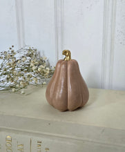 Load image into Gallery viewer, Gourds Decor- Peach
