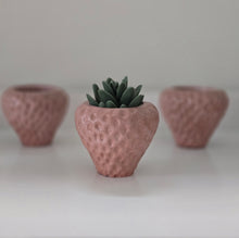 Load image into Gallery viewer, Strawberry Planter
