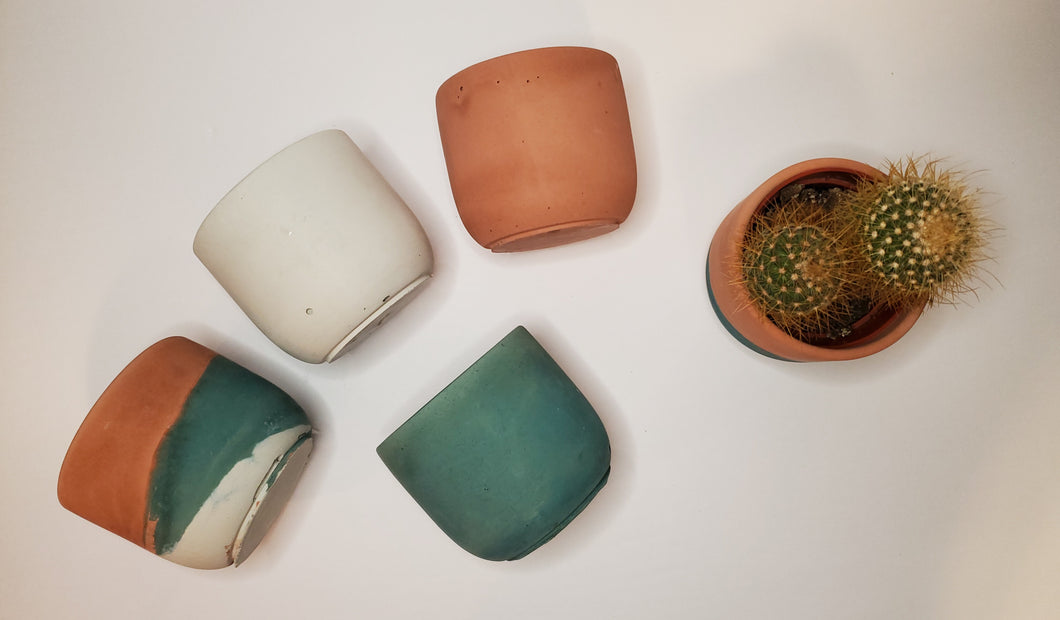 Emerald Coast Collection