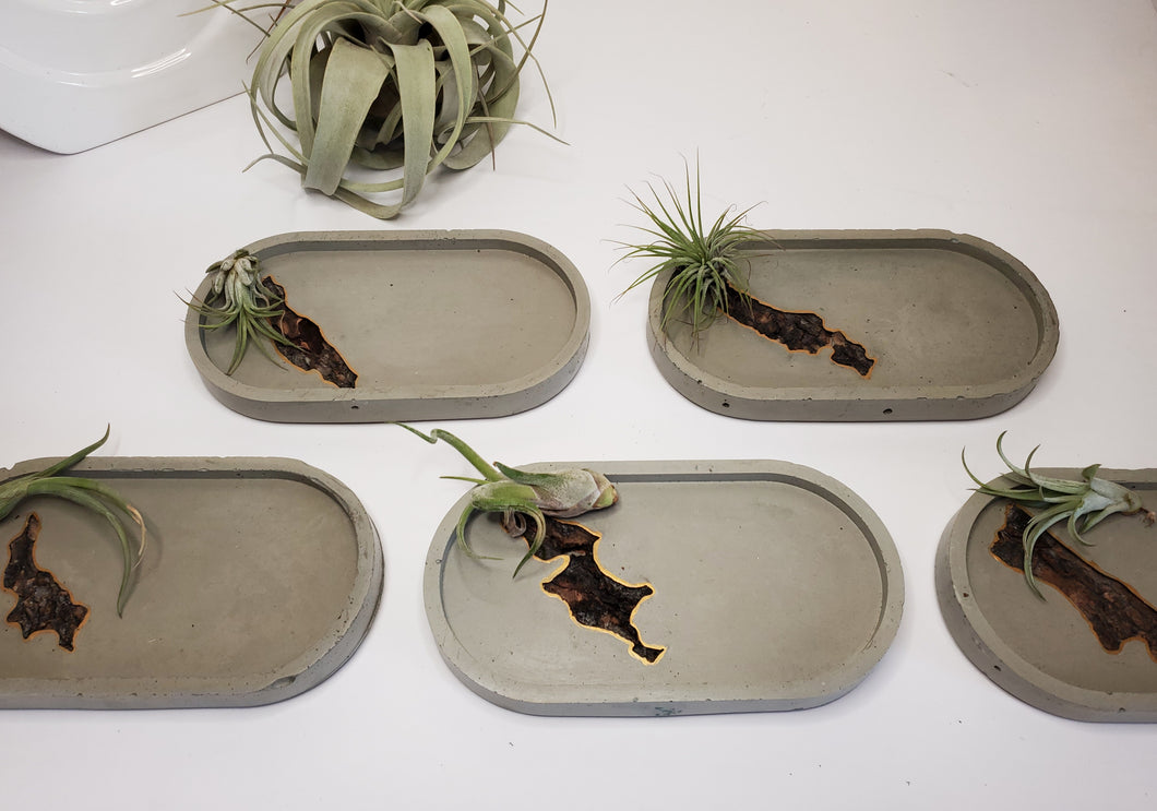 The Rockies Tray