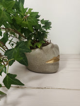 Load image into Gallery viewer, Half Face Planter
