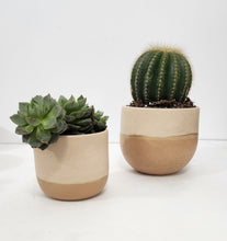 Load image into Gallery viewer, Peach &amp; Terracotta Collection
