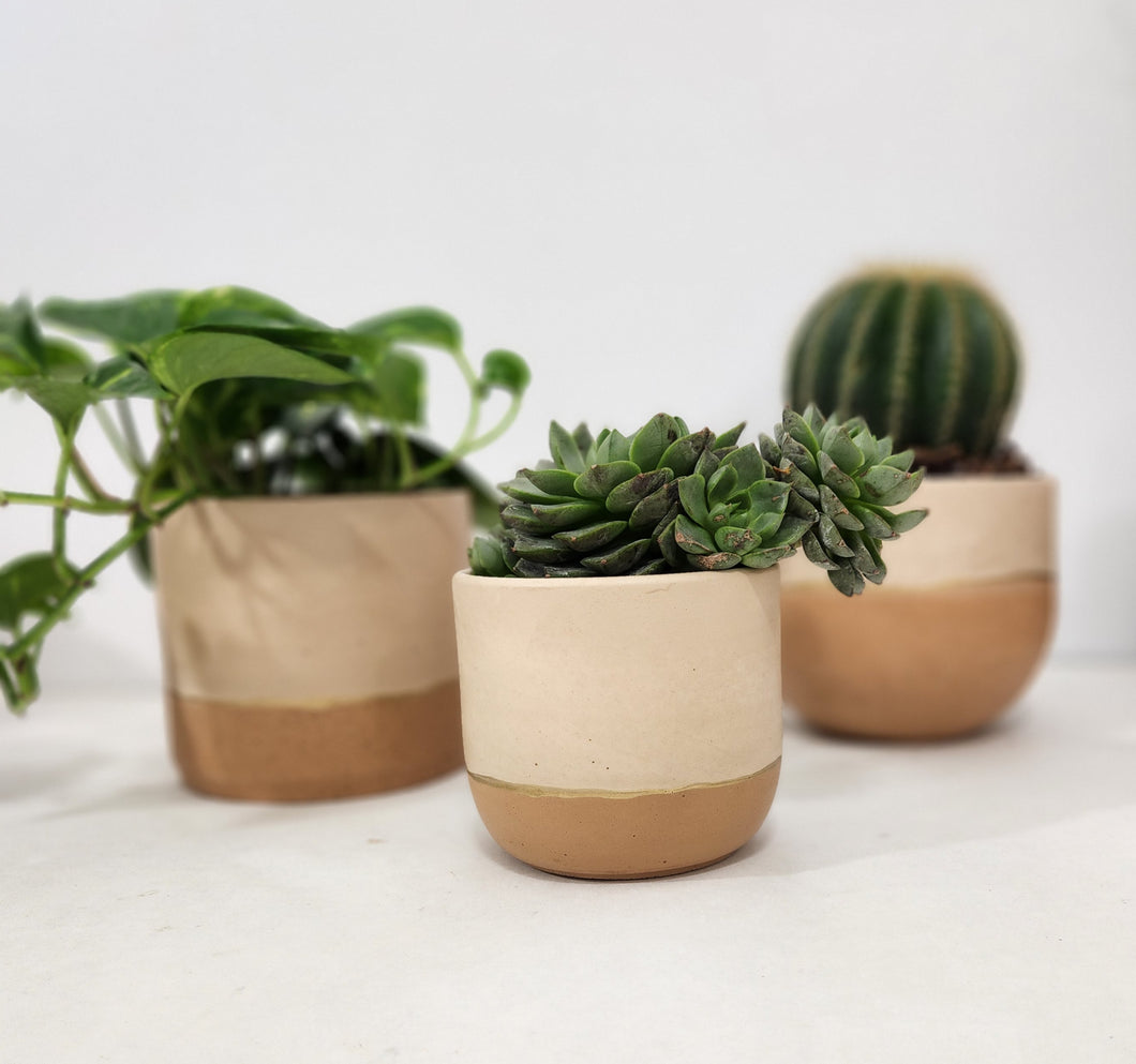 Peach & Terracotta Collection