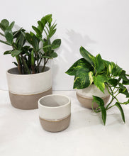 Load image into Gallery viewer, White &amp; Taupe Collection
