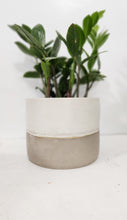 Load image into Gallery viewer, White &amp; Taupe Collection
