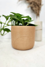 Load image into Gallery viewer, Modern Arch Planter
