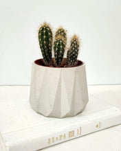 Load image into Gallery viewer, 4&quot; Geometric Planter
