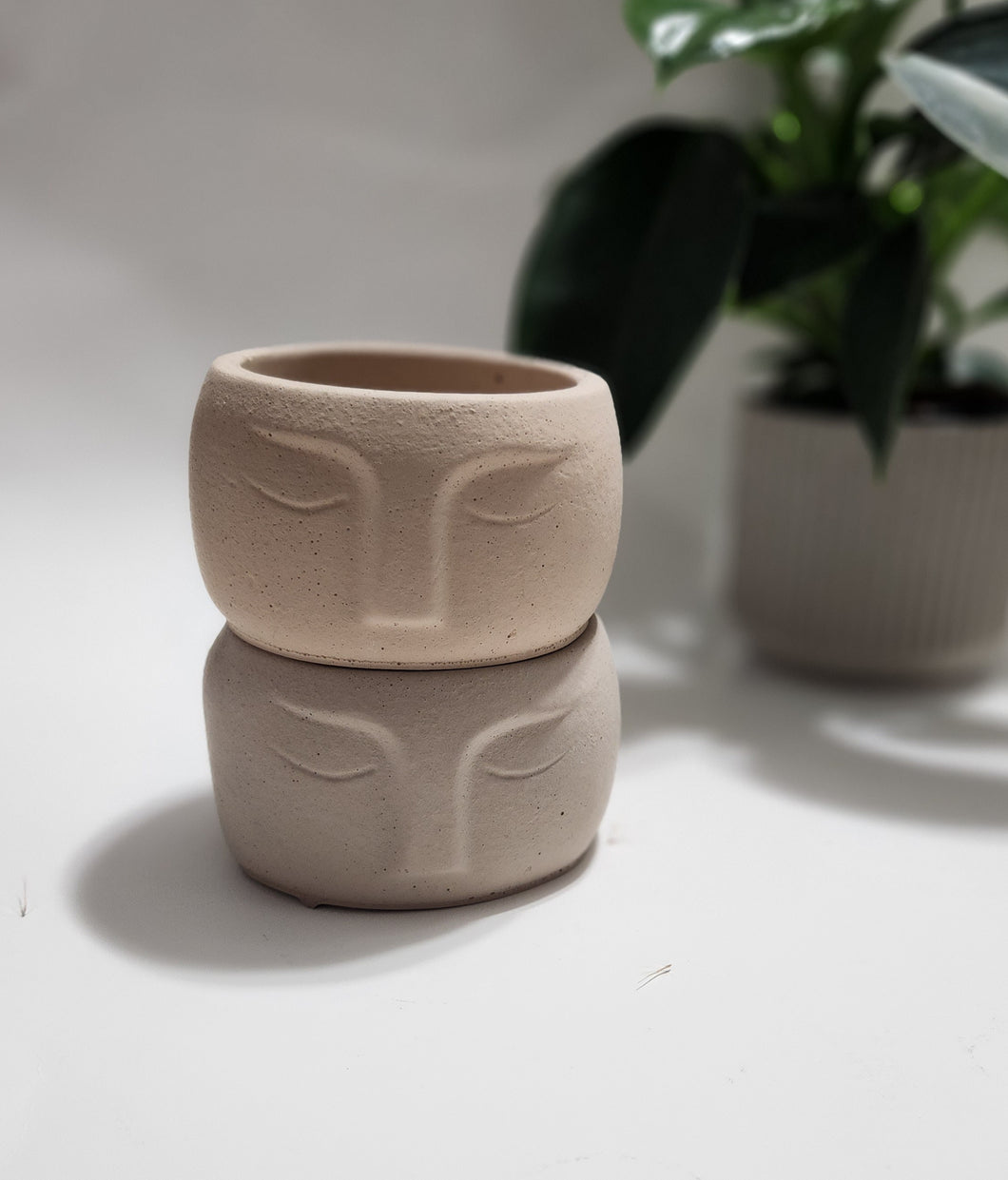 Nordic Face Planter