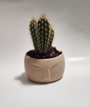 Load image into Gallery viewer, Nordic Face Planter
