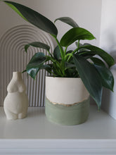 Load image into Gallery viewer, Olive &amp; Cream Collection
