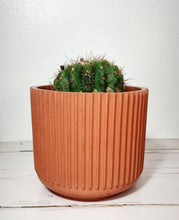 Load image into Gallery viewer, 4&quot; Ridged Planter
