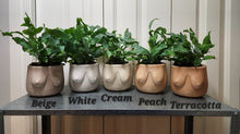 Load image into Gallery viewer, Boob Planter
